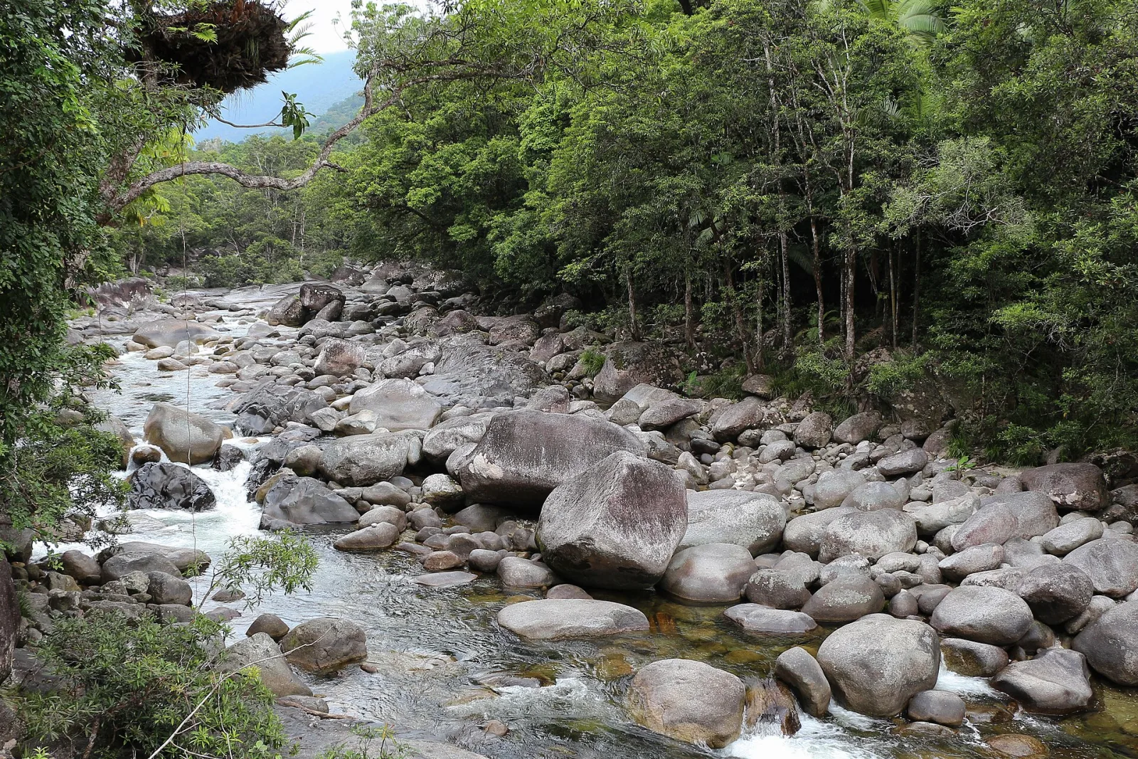 A creek in Mossman Gorge, Daintree National Park, Queensland, Australia