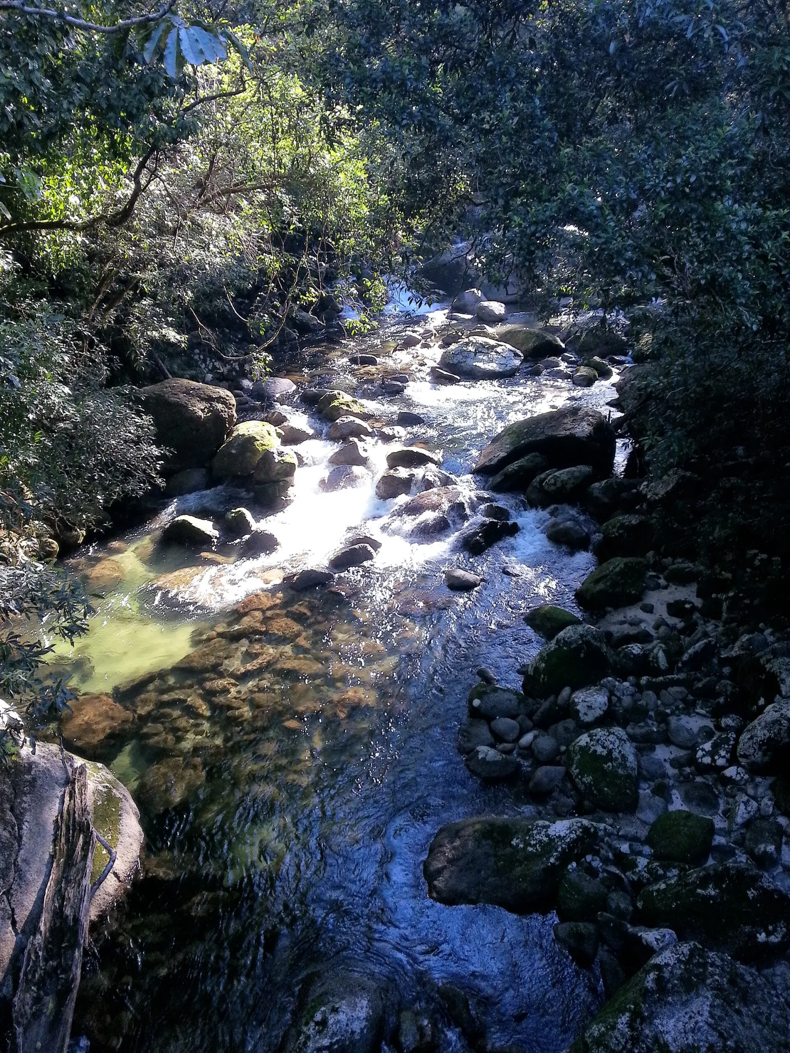 Mossman Gorge, Daintree National Park, Queensland, Australia.
