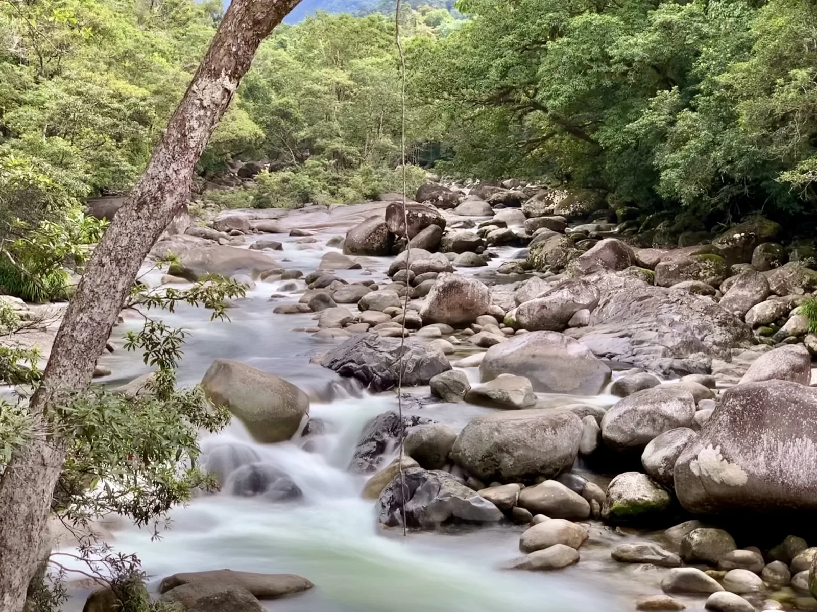 Mossman Gorge, Queensland, July 2020