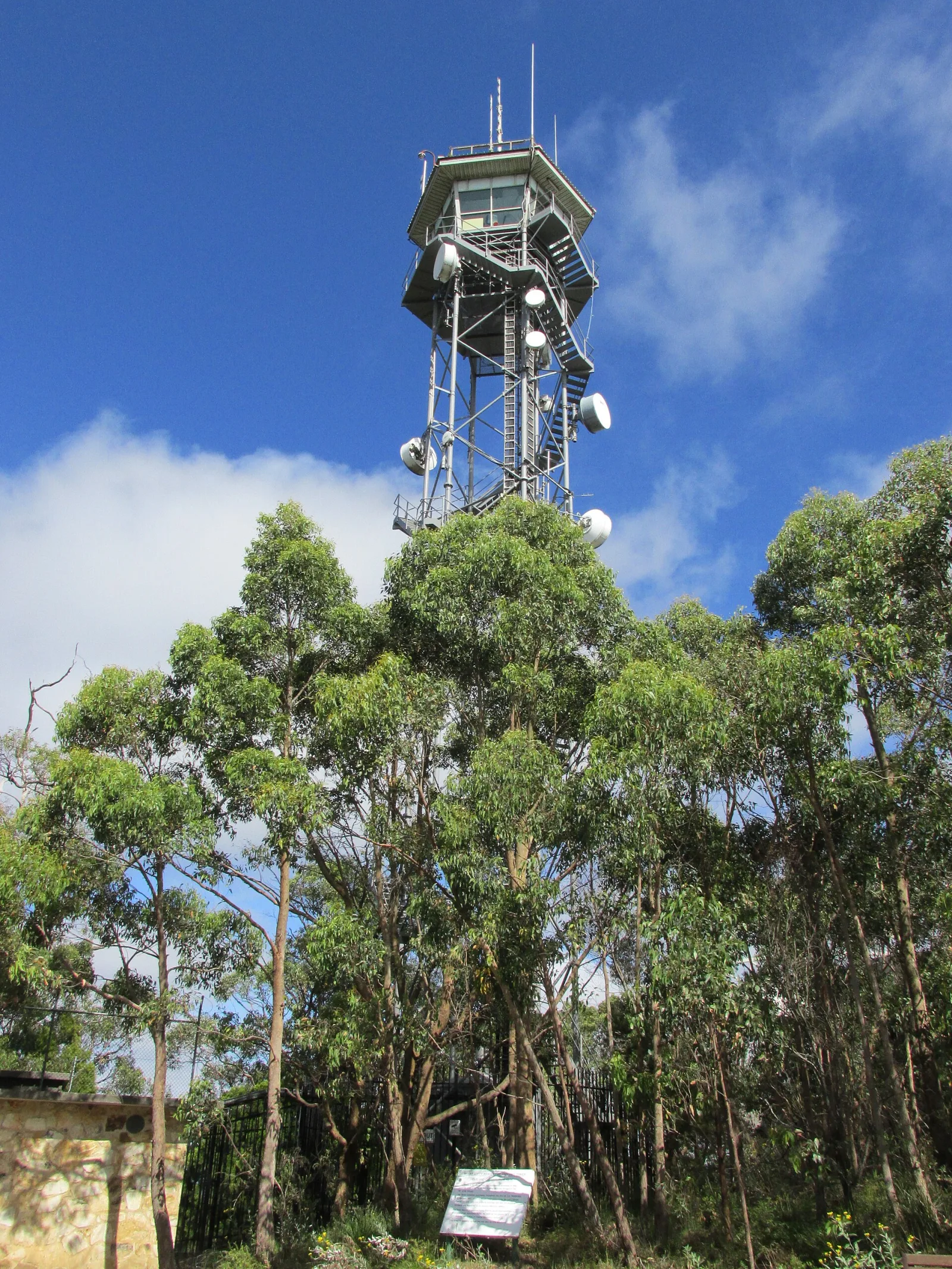 Mount Lofty