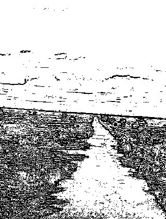 line drawing of the Australian Desert
