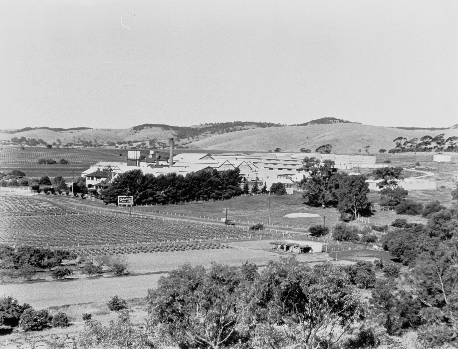 Rowland Flat