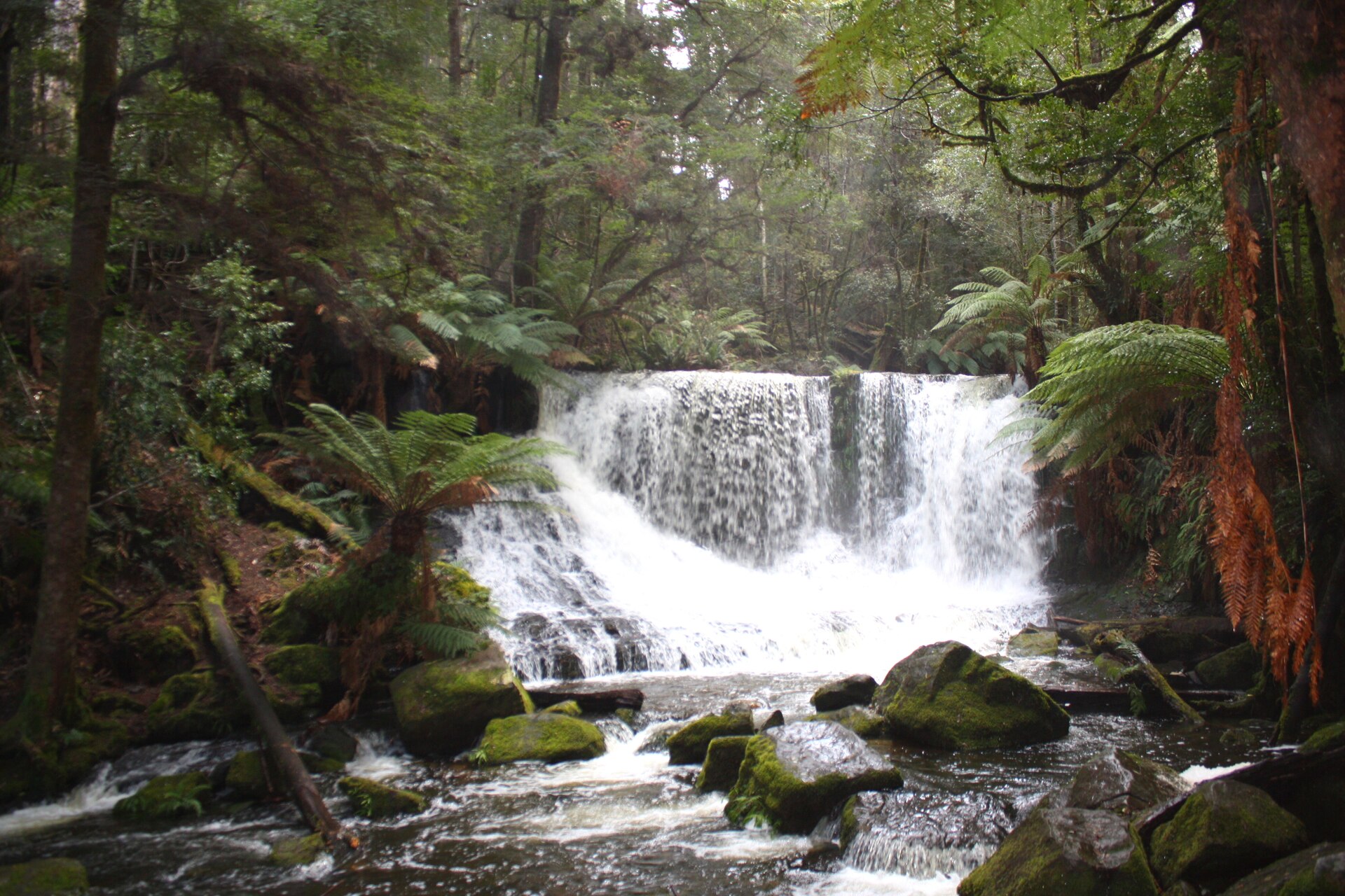 This little falls is situated in the upper level from main Russell fall in the rainforest area