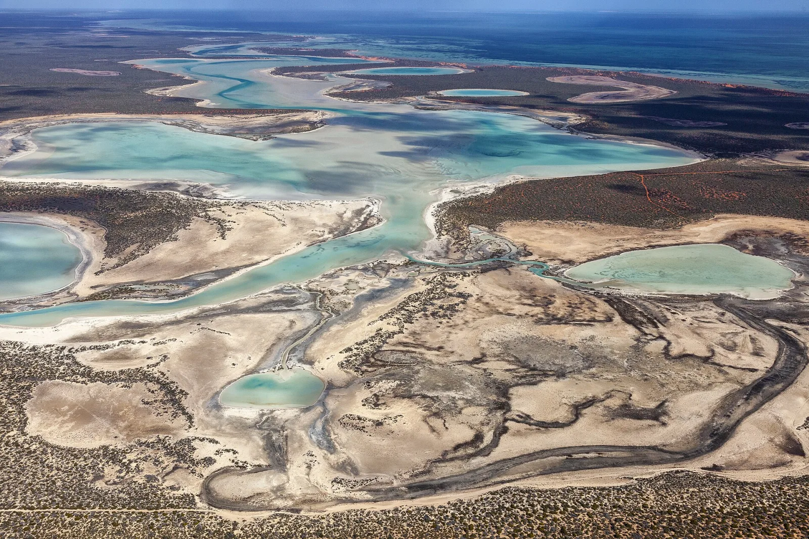 Francois Perron NP is a dry and very hot region where heat and high salinity determine the fate of everything. Small bushes and scrubby plants form intricate patterns and textures that are best viewed from above.