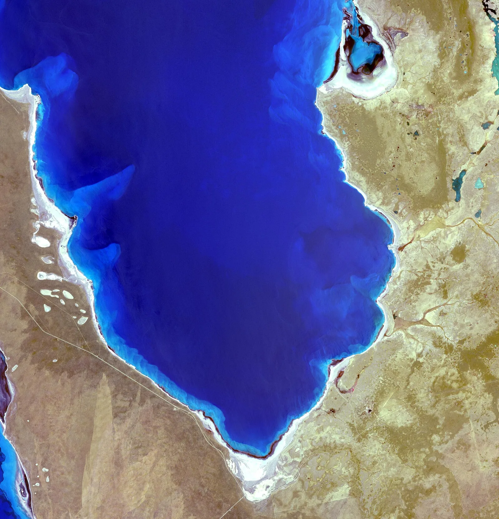 Hamelin Pool Marine Nature Reserve is located in the Shark Bay World Heritage Site in Western Australia. It is one of the very few places in the world where living stromatolites can be found. These are the first living examples of structures built by cyanobacteria. These bacteria are direct descendants of the oldest form of photosynthetic life on earth, dating back 3,500 million years (Wikipedia). The image was acquired December 30, 2010, covers an area of 34 x 46 km, and is located at 26.4 degrees south latitude, 114.1 degrees east longitude. With its 14 spectral bands from the visible to the thermal infrared wavelength region and its high spatial resolution of 15 to 90 meters (about 50 to 300 feet), ASTER images Earth to map and monitor the changing surface of our planet. ASTER is one of five Earth-observing instruments launched Dec. 18, 1999, on Terra. The instrument was built by Japan's Ministry of Economy, Trade and Industry. A joint U.S./Japan science team is responsible for validation and calibration of the instrument and data products. The broad spectral coverage and high spectral resolution of ASTER provides scientists in numerous disciplines with critical information for surface mapping and monitoring of dynamic conditions and temporal change. Example applications are: monitoring glacial advances and retreats; monitoring potentially active volcanoes; identifying crop stress; determining cloud morphology and physical properties; wetlands evaluation; thermal pollution monitoring; coral reef degradation; surface temperature mapping of soils and geology; and measuring surface heat balance. The U.S. science team is located at NASA's Jet Propulsion Laboratory, Pasadena, Calif. The Terra mission is part of NASA's Science Mission Directorate, Washington, D.C. More information about ASTER is available at asterweb.jpl.nasa.gov/. Credit: NASA/GSFC/METI/ERSDAC/JAROS, and U.S./Japan ASTER Science Team Image Addition Date: 2013-03-15 NASA image use policy. NASA Goddard Space Flight Center enables NASA’s mission through four scientific endeavors: Earth Science, Heliophysics, Solar System Exploration, and Astrophysics. Goddard plays a leading role in NASA’s accomplishments by contributing compelling scientific knowledge to advance the Agency’s mission. Follow us on Twitter Like us on Facebook Find us on Instagram