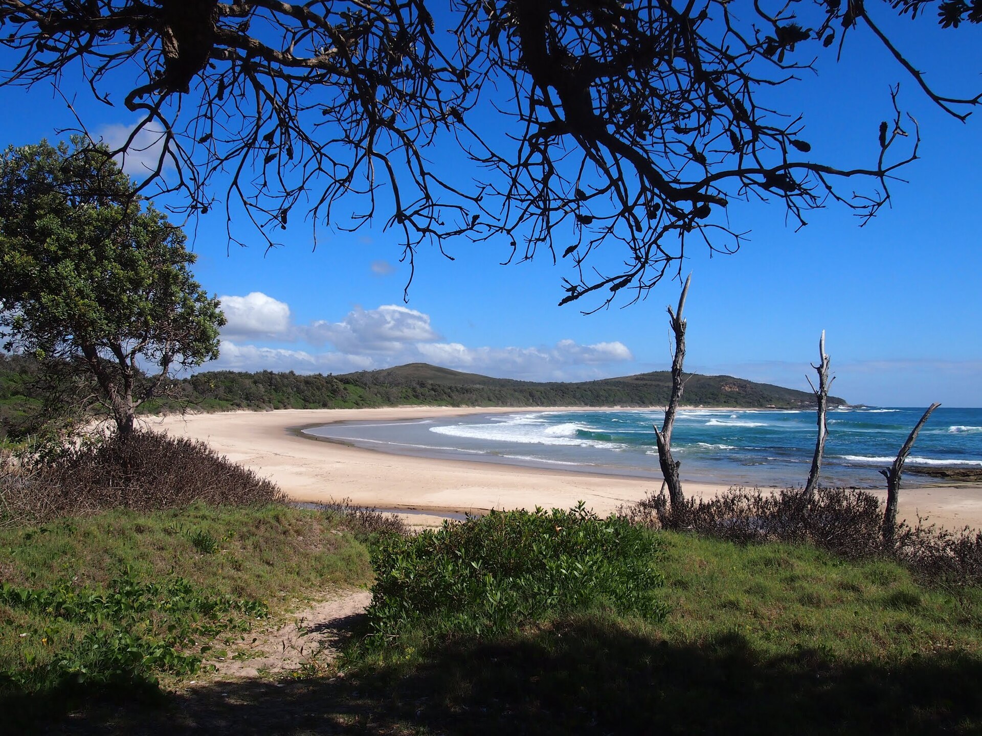 Yamba